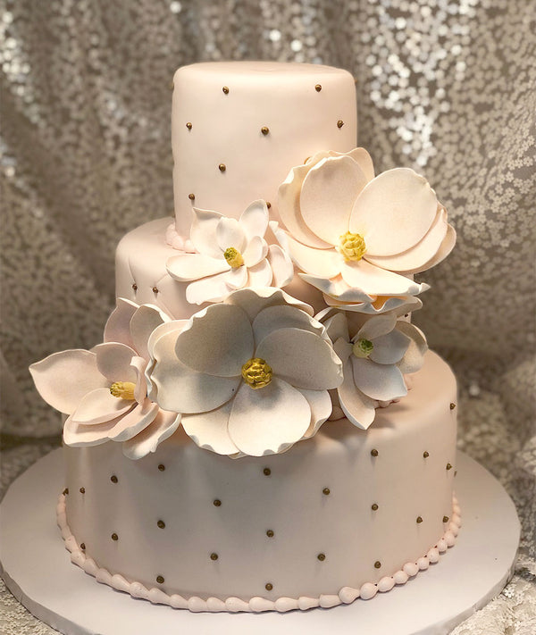 Magnificient Magnolia