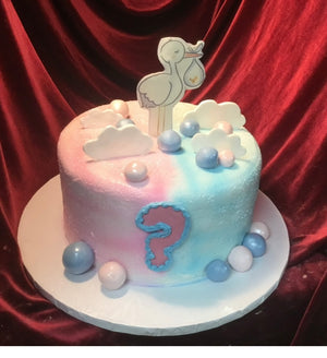 Gender Reveal