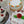 Layer Cakes