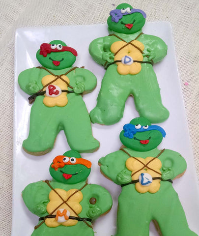 Ninja Turtle Favors